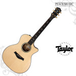 테일러 어쿠스틱기타 814ce LTD Lutz Cocobolo 2020 TAYLOR 남쇼 리미티드 에디션 한정판 매장 방문시 시연 가능합니다. : 주식회사... 