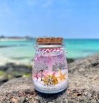 미니 코르크 바다캔들 3종 : 제주도 월정스캔들