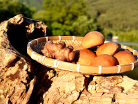 돼지감자통밀빵 50g 30개 건강빵 건강간식 비건베이커리 주문확인 후 생산 : 유스마일