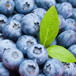 2022년 A+ 블루베리 국내산(상품, 특상품) 1kg : 청양굿모닝팜