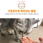 야미야미 순닭가슴살 고양이 강아지 간식 22gX100P : 신묘한냥이