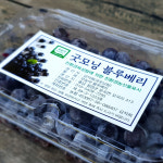 2022년 A+ 블루베리 국내산(상품, 특상품) 1kg : 청양굿모닝팜