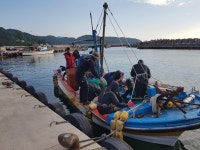 동해안 성게알 우니 명품성게 : 경실이네 영덕청어과메기