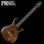 [PRS SE 2022] Pauls Guitar PRS SE 피알에스 에스이 일렉기타 : 기타놀이