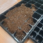 32구 모종 모판 트레이 포트 모종판 씨앗 삽목 육묘 파종 텃밭 원예 화분 발아 플라스틱 : 쇼피디아