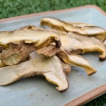 [서울 중부시장 순이네건어물] 쫄깃하고 맛난 표고버섯 250g / 볶은요리 /힙지로 반찬 : 순이네 건어물