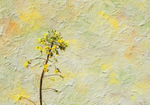 (노스텔지아) 백드롭페인팅 미술키트 추상화 그림그리기 나이프 명화 인테리어 : YouneedArt