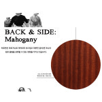 비일라 Veelah 통기타 VOSM : 오케이뮤직 주식회사