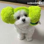 하하펫 뽀송 극세사 반려동물 전용타올 : 존코너