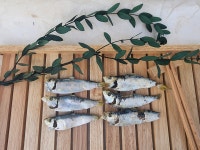 남해통영 디포리 밴댕이300g 고급육수용 국물용 육수용 : 어부의설레임