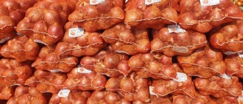 (과일천국1번지) 국내산  햇 양파 3kg : 과일판매