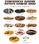김소형 침향환골드 녹용침향원 황제침향효능 60환 : 황실보감
