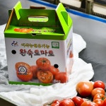 [이삭농원] 흙에서 자란 친환경 유기농 대추방울토마토 이삭농원 : 이삭농원유기농토마토