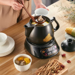 약탕기 중탕기 한 홍삼 냄비 가정용 곰 한방 전기 달인 포트 끓는 캐서롤 전자동 프라이팬 : 스마트셀인스토어