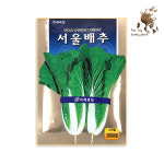서울배추 2000립 미래종묘 잎채소류 씨앗 : GUMOK