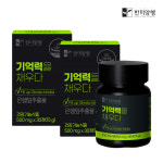 한미양행 기억력 을 채우다 500mg 30정 2박스 2개월분 은행잎 추출물 기억력 혈행개선 : 헬씨위드