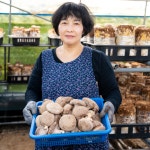 부여만나농장 무농약 굿뜨래 표고버섯가루 천연조미료 (80g)3개입 : 부여만나농장