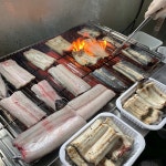바른마켓 국산 풍천장어 민물장어 1kg 자포니카 : 바른마켓X
