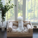 코코제니탄탄침대 필로우세트 원목강아지침대 애견침대 펫 쇼파 : 코코제니