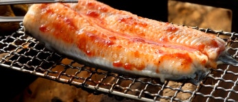 송제수산 고창풍천장어 국내산 민물장어1kg / 손질700g 초벌550g (초생강+소스2종) : -고창송제수산-민물장어-