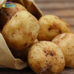 맛있는 강원도 수미 강원 감자 휴게소 알감자 못난이 왕 감자 5kg 10kg 박스 : 디원리빙