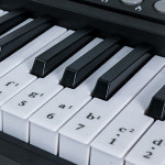 전자오르간 전자키보드 otamatone keyboard stand 피아노 컨트롤러 전문 : 율로웨이
