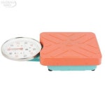 TWO066474판지시저울(평면) 삼성계기 1EA 100KG(태광) : 플로링로즈