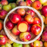 고당도 프리미엄 대석 자두 2kg 특품 : 햇살장터