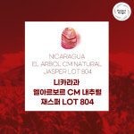 (커피생두) 167 니카라과 엘아르보르 CM 내추럴 재스퍼 LOT 804 1kg : 커피를만드는사람들