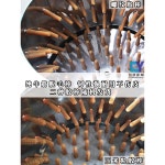 닭 오리 거위 가금류 제모 기계 자동 닭 깃털 뽑는 작은 가정용 전기 스테인레스 : 아시아스타