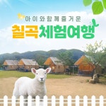 경북e누리 칠곡 덕산수목원+양떼목장 : 경북여행몰