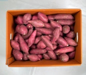영암 토울고구마 큐어링 숙성고구마 꿀고구마 호박고구미 밤고구마 2kg~10kg : 스토어빌