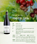 오피아 유기농 까베르네 소비뇽 / 프랑스 프리미엄 무알콜 와인 : 와인팩토리