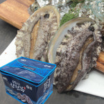 국산활전복 소포장 600g 완도전복직거래 산지직송 : 전복이장