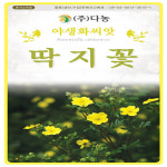 다-딱지꽃 500g : 영미의정원