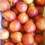 [경산시 배달] 과즙 풍부한 신비복숭아 1kg [경산공설 한진청과] : 동네시장 장보기