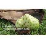 노니환 베트남노니 정든팜 : 참셀러