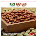 땅콩 30g 재배가 용이하여며 영양가가 높고 고유한 맛이 강한 땅콩씨앗종자 다농 영미의정원 : 영미의정원