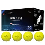 60알 고반발 비거리 2피스 골프공 화이트 컬러 골프 WELLKY 여자 남자 초보 웰키 : WELLKY 웰키골프