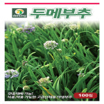 다-두메부추 100립 : 영미의정원