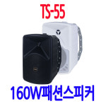 TS-55 카페 강당 회의실 매장스피커 마트 헬스장 식당 미용실 의류매장 학원 공장스피커 : 성은전자
