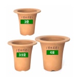 풍란화분 난화분 풍란분 토분 청보 풍난 부귀란 낙소분 숯돌꽃 : 숯돌꽃
