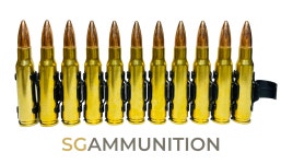 실물기반의 7.62 X 51mm FMJ 더미탄 10발 링크세트 (모형탄,모형총알,M60,K12,탄 링크) : 더미탄