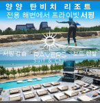[양양서핑] 하조대 탄비치 레이버스 서핑 강습 및 탄비치 입장권 패키지 : 탄비치 레이버스서핑