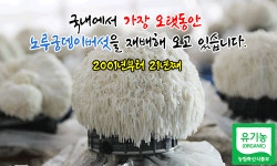 여수 특산 유기농 100% 돌산 버섯 농장 노루 궁뎅이 버섯 즙 34포 : 윤 스토리