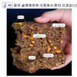 중국떡밥 술향밑밥 민물 집어제 옥수수 오곡 잡곡 낚시 대물 잉어 붕어 : 용왕낚시