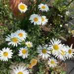 뜨개가방 여대생 데일리백 여름뜨개숄더백 : Factory57