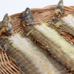 군침돌개 강아지보양식 강아지 장어 자연산 : 멍스타닷컴