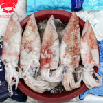 [진해구 배달] 국내산 한치 5마리 [진해중앙 싱싱수산] : 동네시장 장보기