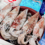 [진해구 배달] 국내산 한치 5마리 [진해중앙 싱싱수산] : 동네시장 장보기